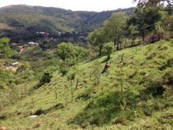 Área para Venda em Itabirito - 4
