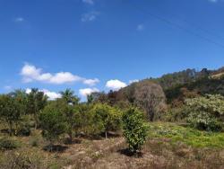 Área para Venda em Belo Vale - 5