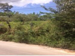 #443 - Área para Venda em Itabirito - MG - 3
