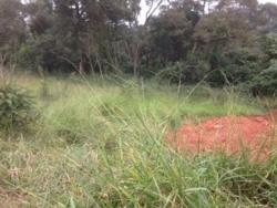 #444 - Área para Venda em Itabirito - MG - 2