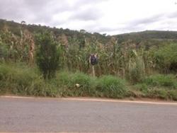 #445 - Área para Venda em Itabirito - MG - 3