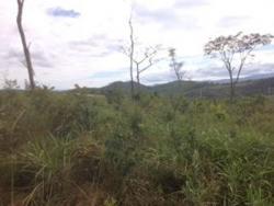 Área para Venda em Itabirito - 5