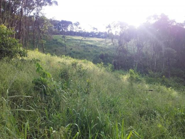Área para Venda em Itabirito - 5
