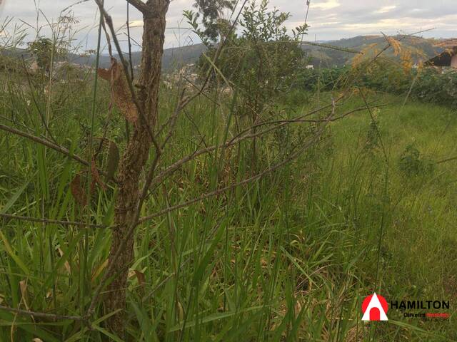 #572 - Área para Venda em Itabirito - MG - 3