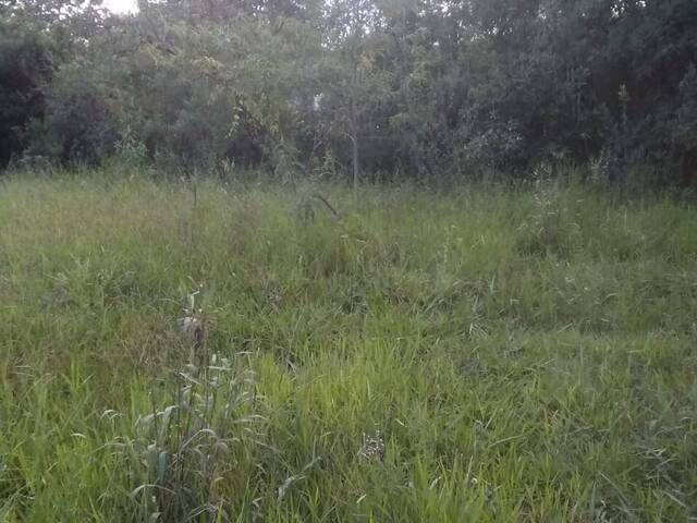#584 - Área para Venda em Itabirito - MG - 3