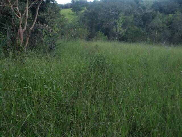 Área para Venda em Itabirito - 4