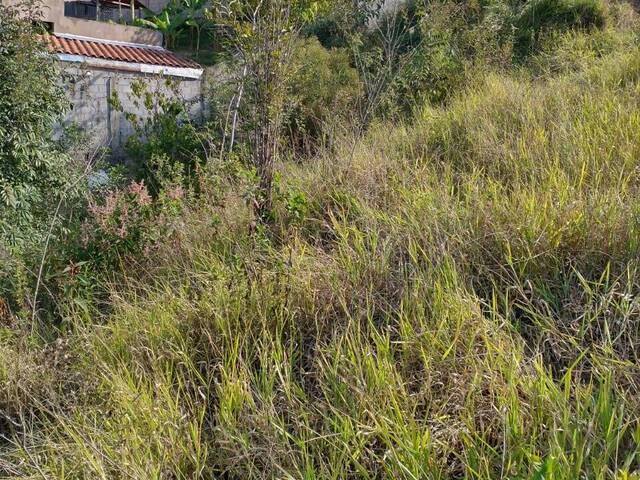 Área para Venda em Itabirito - 4