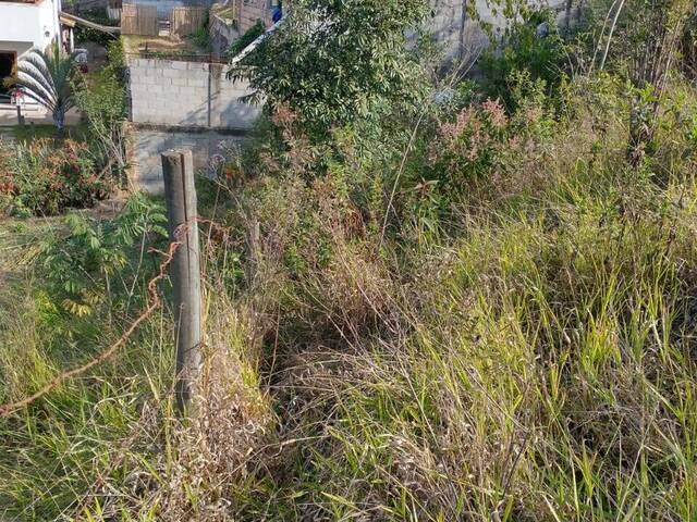 Área para Venda em Itabirito - 5