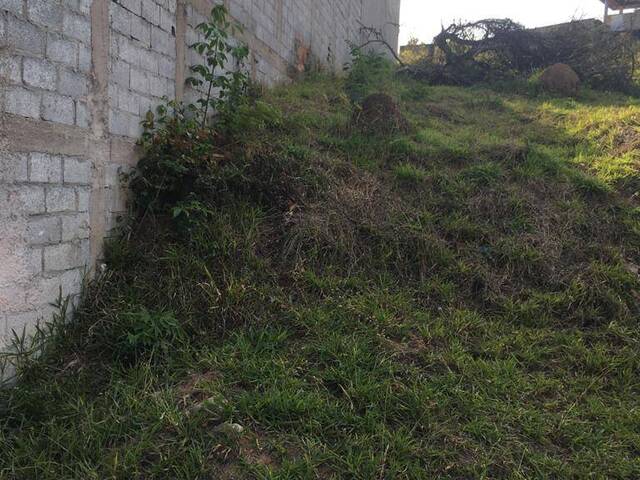 Área para Venda em Itabirito - 4