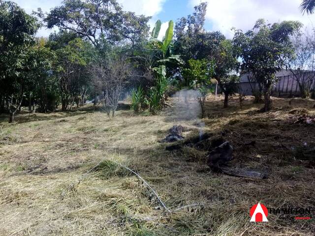 Área para Venda em Ouro Preto - 4