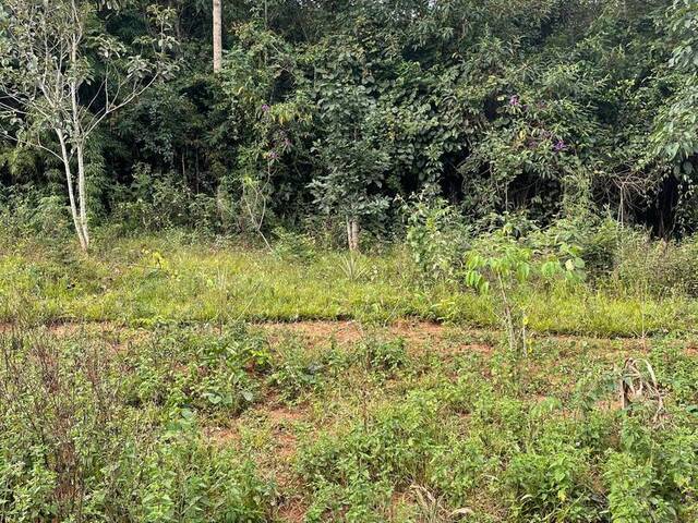 #911 - Área para Venda em Itabirito - MG - 3