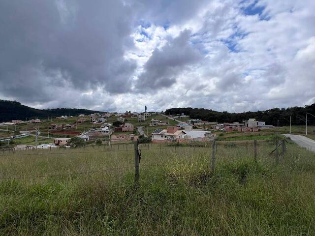 #917 - Área para Venda em Itabirito - MG - 2