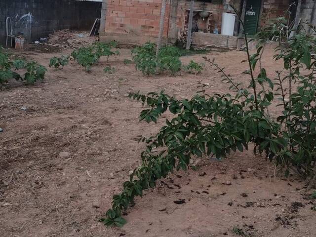 #970 - Casa para Venda em Itabirito - MG - 1