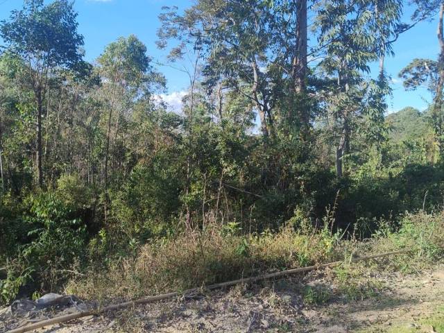 #986 - Área para Venda em Ouro Preto - MG - 3