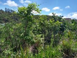 Terreno para Venda em Itabirito - 4