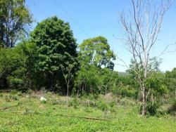 Fazenda para Venda em Lagoa Santa - 5