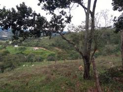Área para Venda em Itabirito - 5
