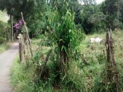 Área para Venda em Itabirito - 5
