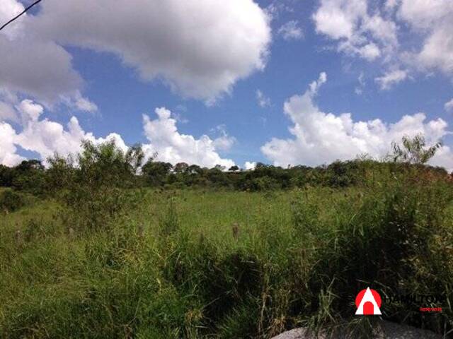 #314 - Terreno para Venda em Itabirito - MG - 1