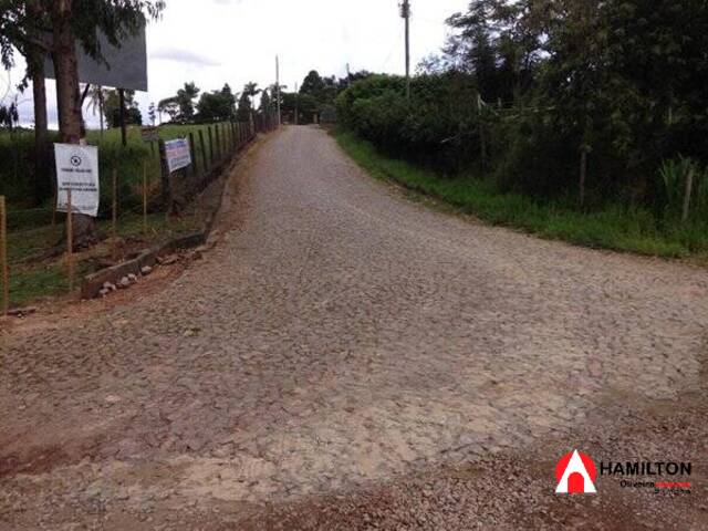 #314 - Terreno para Venda em Itabirito - MG - 3