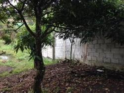 #332 - Terreno para Venda em Itabirito - MG - 2