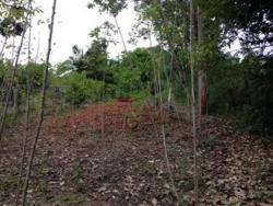 Área para Venda em Itabirito - 4