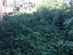 Terreno para Venda em Itabirito - 4