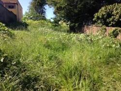 Terreno para Venda em Itabirito - 5