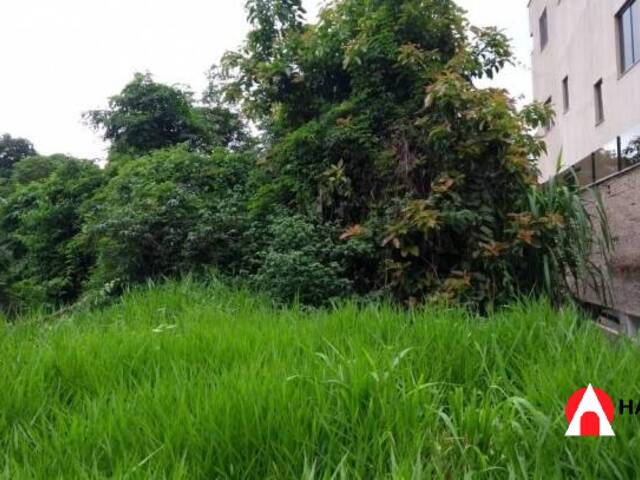 #362 - Terreno para Venda em Itabirito - MG - 2
