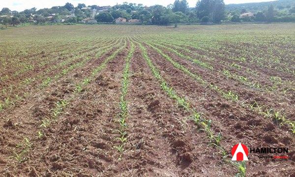 Magnífica Fazenda para negociação em Lagoa Santa