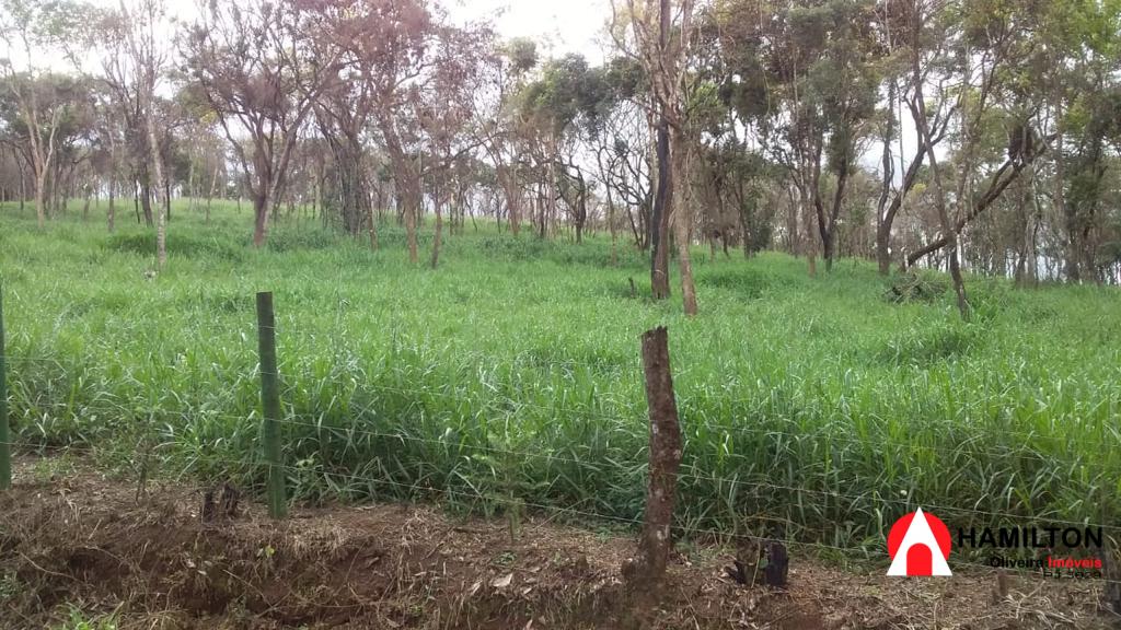 Excelente terreno com água dentro da propriedade