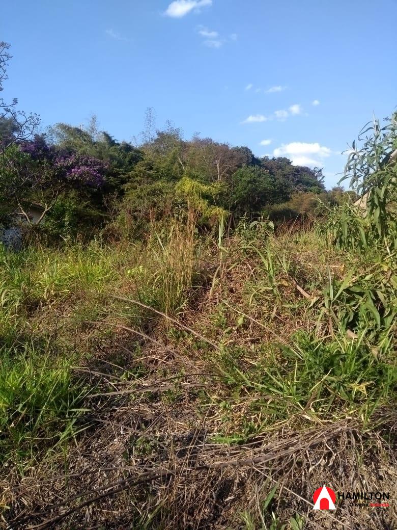 LOTE NO BELA VISTA