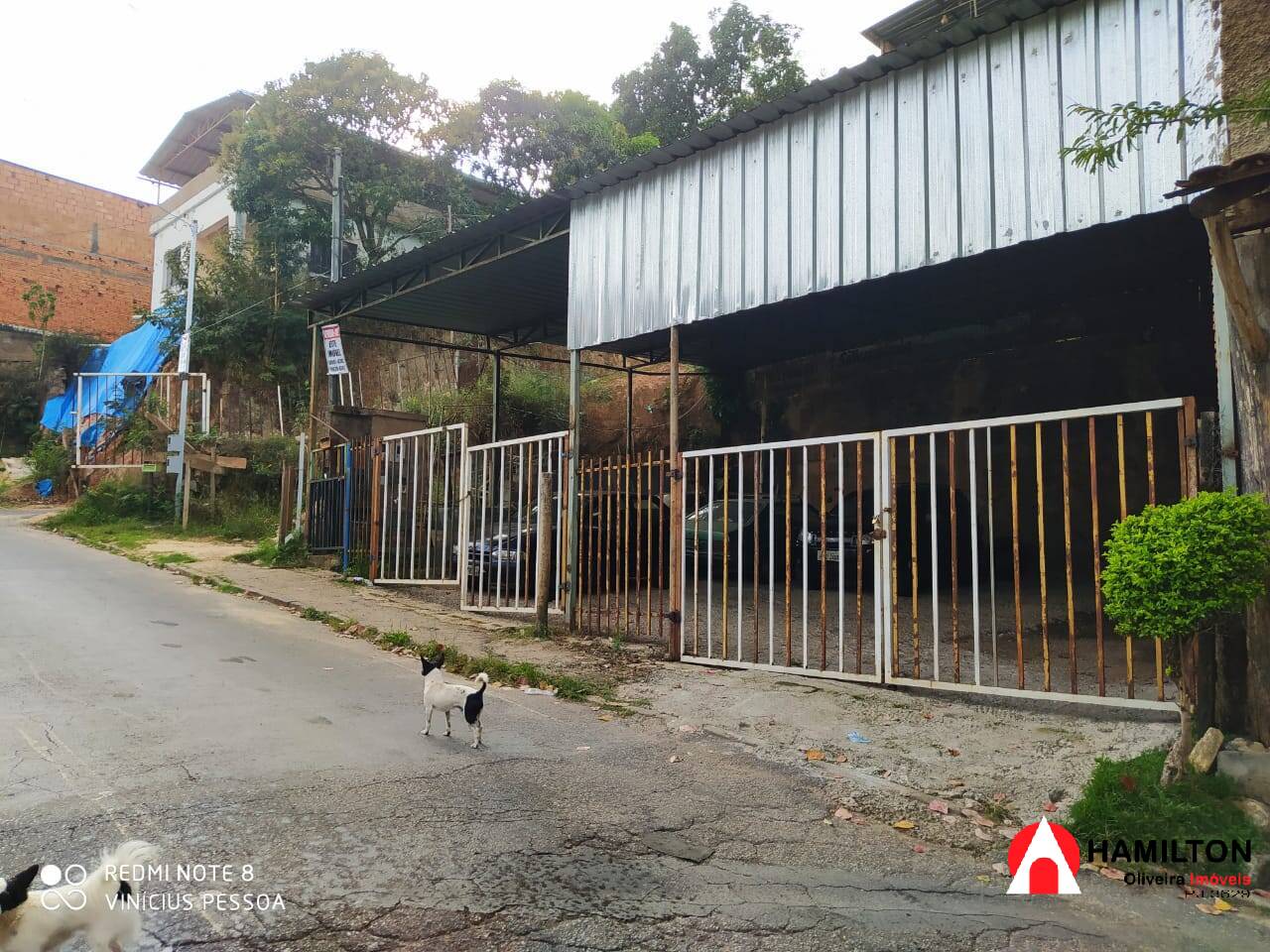 Lote no Agostinho Rodrigues