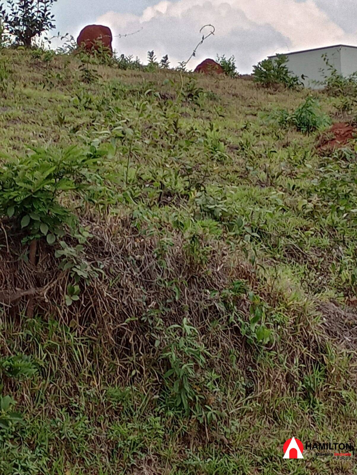 Dois Lotes para venda Bairro Santa Rita