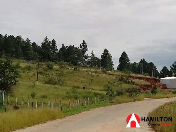 Chácaras de ótimo valor comercial na bera da BR356