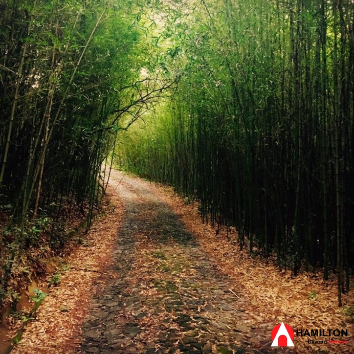 Maravilhosa Propriedade a 2 km do centro de Itabirito, 12ha