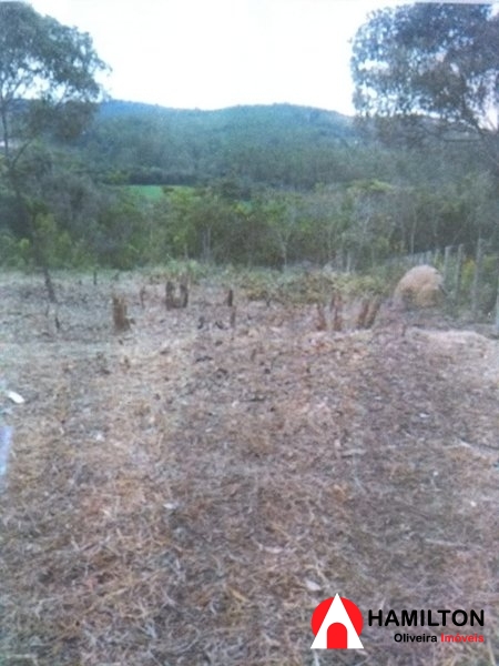 Chácara no Alto da Beleza de 1000m2 -Distrito de Bandeirinha